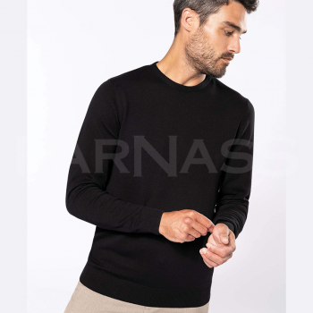 Adīts džemperis CREW NECK JUMPER