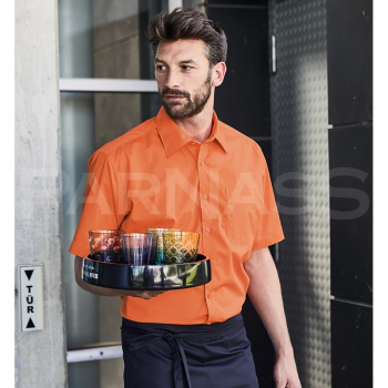 Blūze, pletkrekls BUSINESS SHIRT SHORT SLEEVE