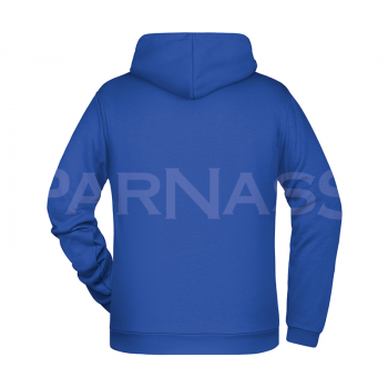 Džemperis ar kapuci BASIC HOODY