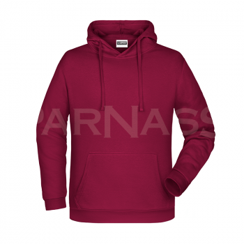 Džemperis ar kapuci BASIC HOODY