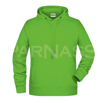 Džemperis ar kapuci BIO HOODY