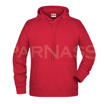 Džemperis ar kapuci BIO HOODY