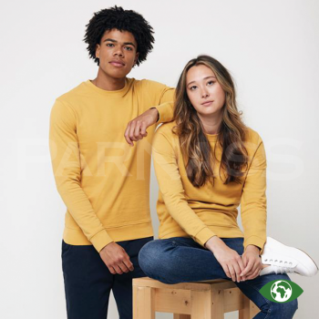 Džemperis IQONIQ ZION