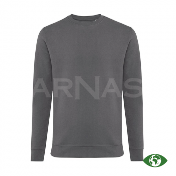 Džemperis IQONIQ ZION