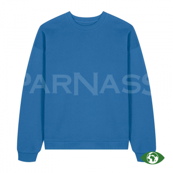 Džemperis RADDER 2.0 OVERSIZED CREW NECK SWEATSHIRT