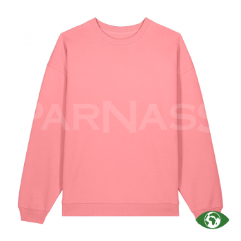 Džemperis RADDER 2.0 OVERSIZED CREW NECK SWEATSHIRT