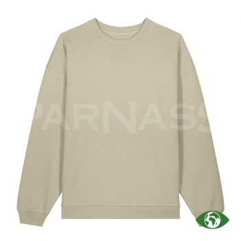 Džemperis RADDER 2.0 OVERSIZED CREW NECK SWEATSHIRT