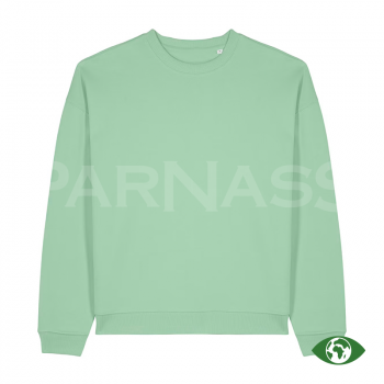 Džemperis RADDER 2.0 OVERSIZED CREW NECK SWEATSHIRT