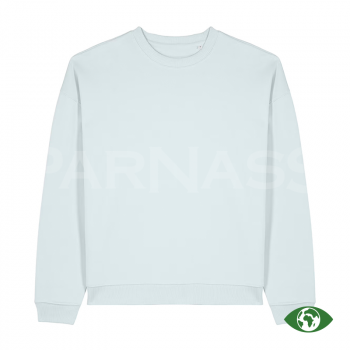 Džemperis RADDER 2.0 OVERSIZED CREW NECK SWEATSHIRT