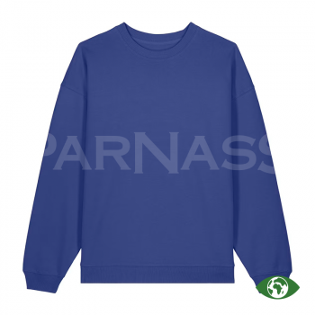 Džemperis RADDER 2.0 OVERSIZED CREW NECK SWEATSHIRT