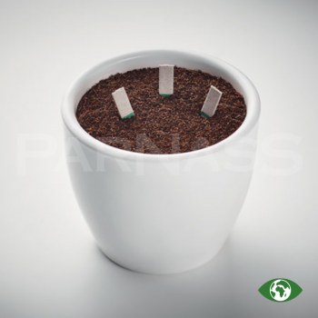 Garšaugu sēklu komplekts SEEDSTICKS® LEYTI