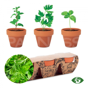 Garšvielu audzēšanas komplekts FLOWERPOT