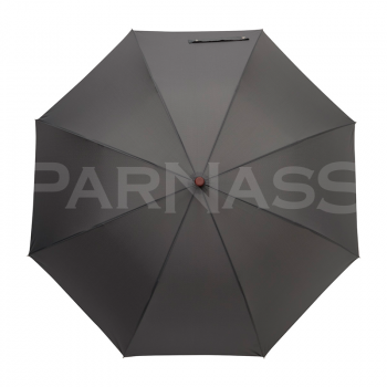 Golfa lietussargs EARL