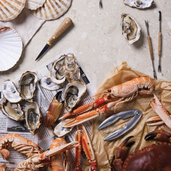 Jūras velšu rīku komplekts STORY OF SEAFOOD