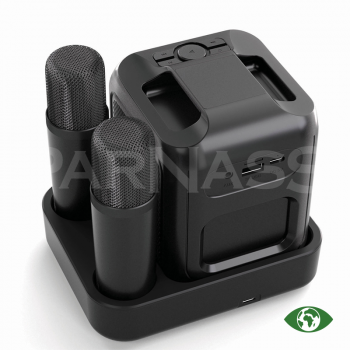 Karaoke skaļrunis un 2 mikrofoni SINGVIBE