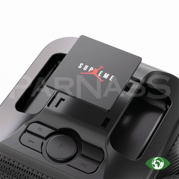 Karaoke skaļrunis un 2 mikrofoni SINGVIBE