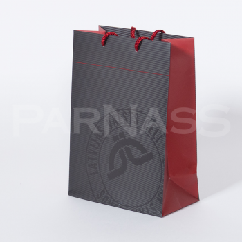 Laminēts papīra dāvanu maiss
