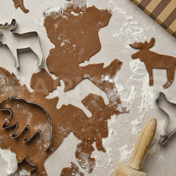 Piparkūku formītes NORDIC