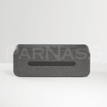 Skaļrunis EKSTON THUNDER ar mikrofonu