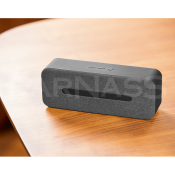 Skaļrunis EKSTON THUNDER ar mikrofonu