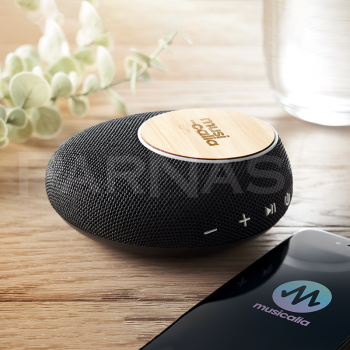 Skaļrunis FLARE 10W