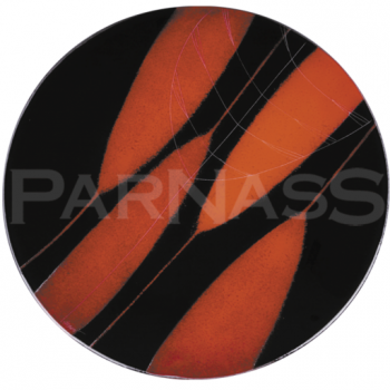 Šķīvis LAPAS, standarta dizains