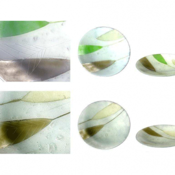 Šķīvis LAPAS, standarta dizains