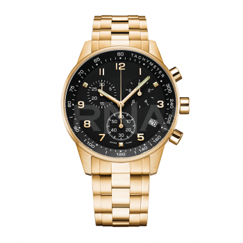 Šveices rokas pulkstenis ARENA