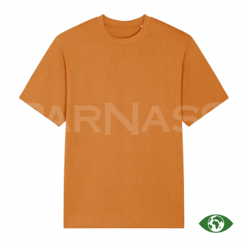 T-krekls FREESTYLER UNISEX DRY HANDFEEL AND HEAVY WEIGHT T-SHIRT