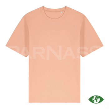 T-krekls FREESTYLER UNISEX DRY HANDFEEL AND HEAVY WEIGHT T-SHIRT