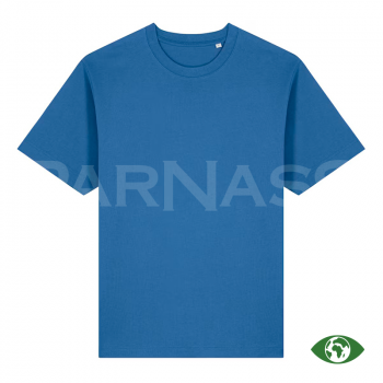 T-krekls FREESTYLER UNISEX DRY HANDFEEL AND HEAVY WEIGHT T-SHIRT