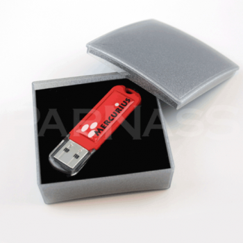 USB zibatmiņa ar polimēru pārklājumu (domingu) SPECTRA
